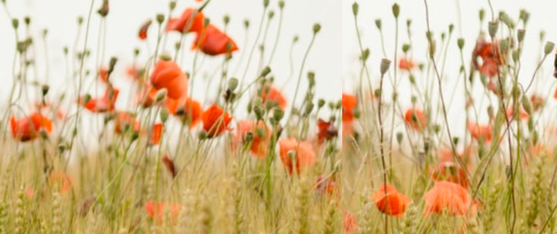 Fleursessence44