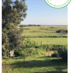 Ferme Pédagogique 44