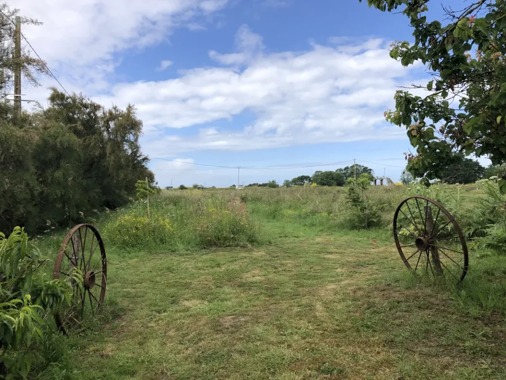 Paysage (2)